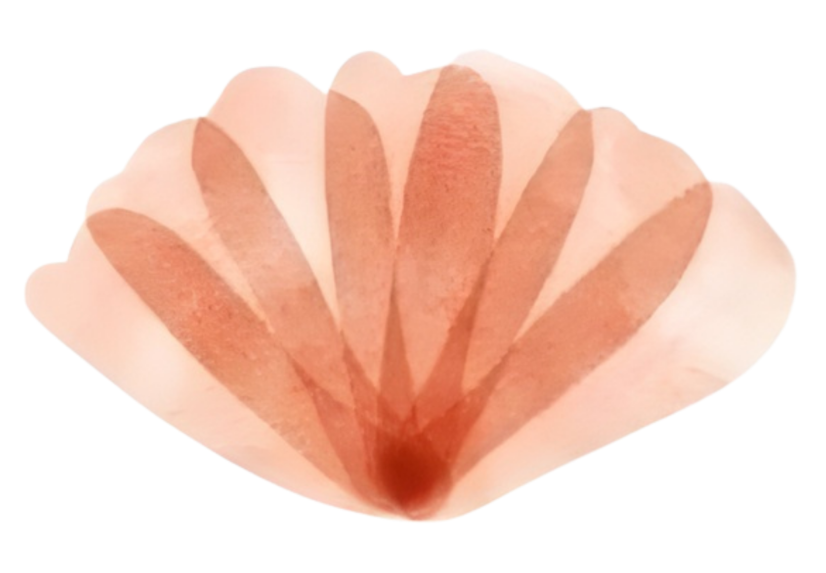 Sinai Alta Costura